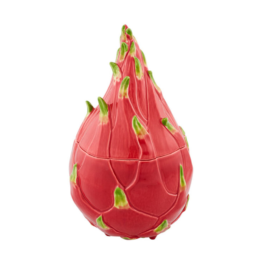 TROPICAL FRUITS – Drakono vaisiaus indas su dangčiu