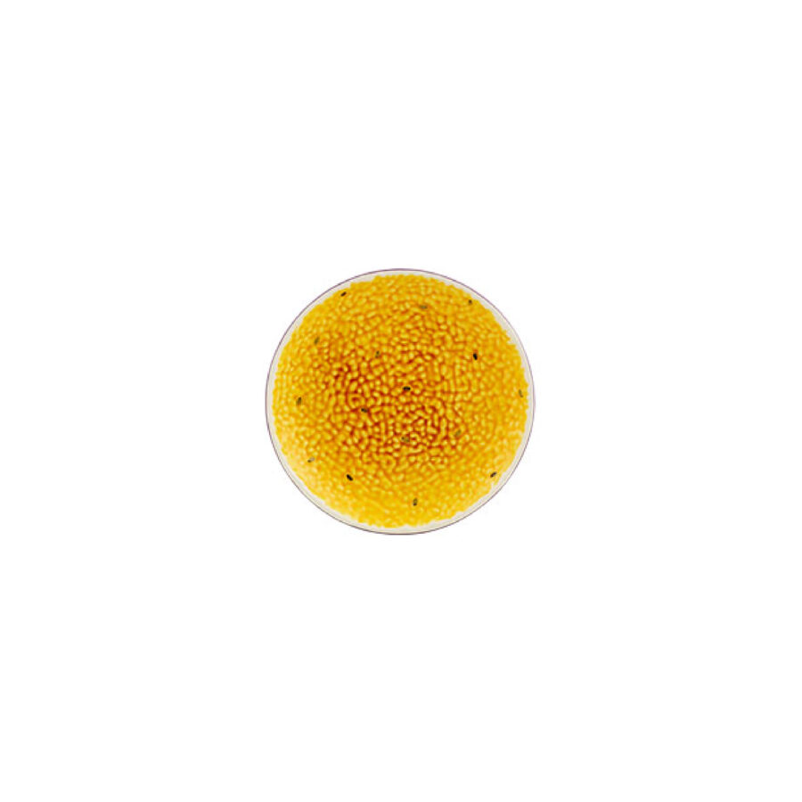 TROPICAL FRUITS – Pasifloro desertinė lėkštė