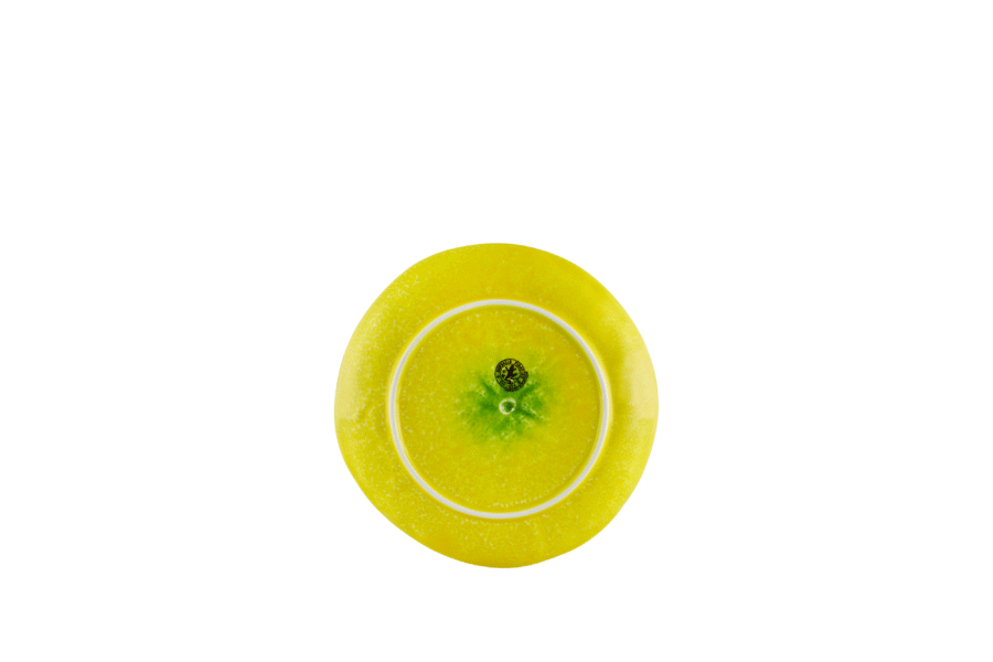 lemon salotinė