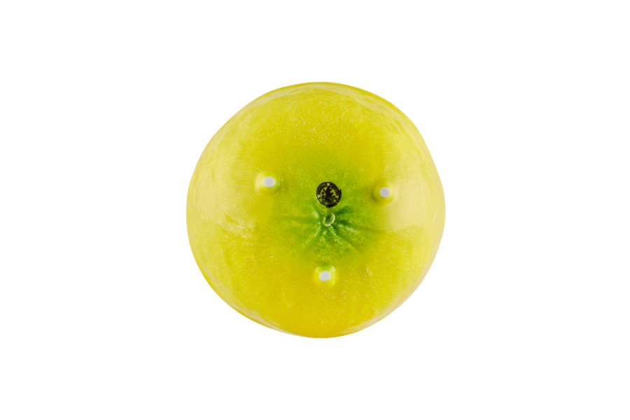 Bordallo Pinheiro Lemon salotinė