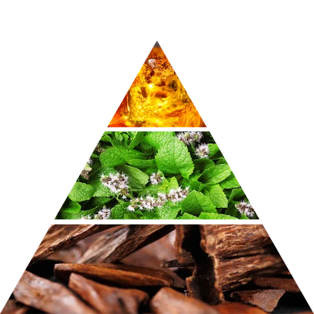PIRAMIDE_AMBRA